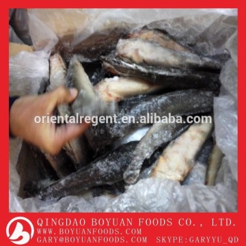 frozen catfish fillet