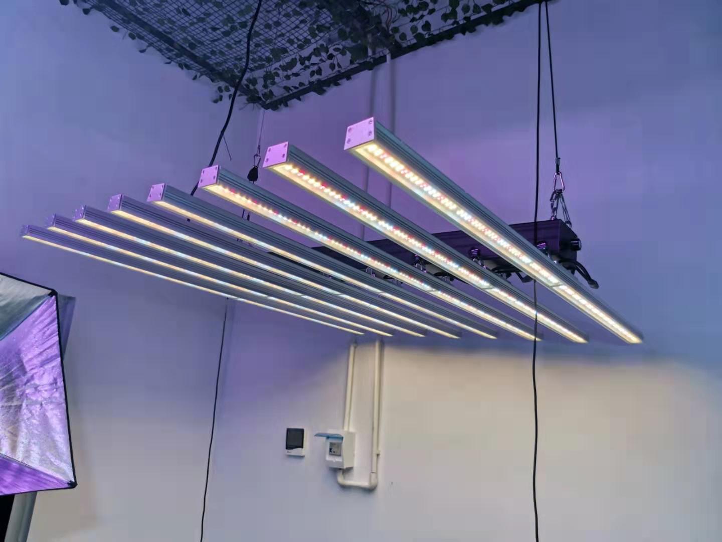 Octopus LED Grow light 