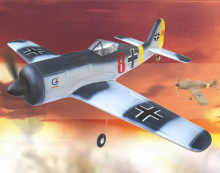 Rc hobby electric rc plane 4ch  FW-190