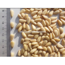 Bio Red Pine Nut Kernel 750 Stück 100g