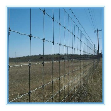 Grassland for breeding iron fence netting prairie mesh