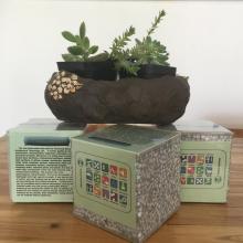 standard lightweight wall board