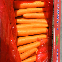 Fresh Carrots Yellow Vegetables