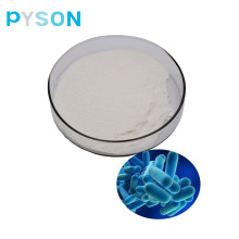 probiotics powder Bifidobacterium breve