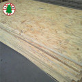 1280x2440mm Combi Poplar และ Pine Core OSB3