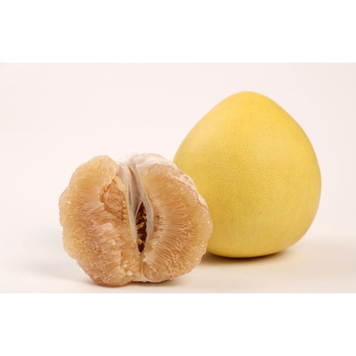 Exporter la qualité standard de pomelo frais