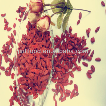 dired goji berry