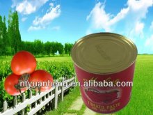 gino tomato paste can sizes processing plant