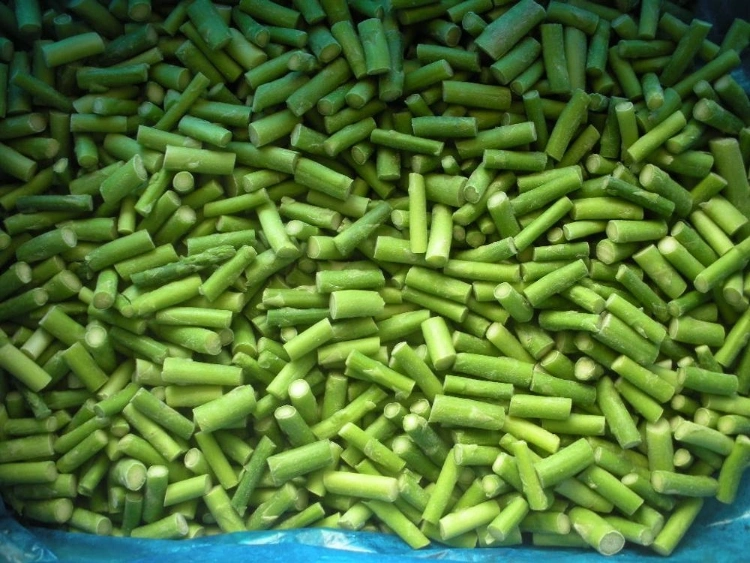 IQF Frozen Green Asparagus Cuts Grade a