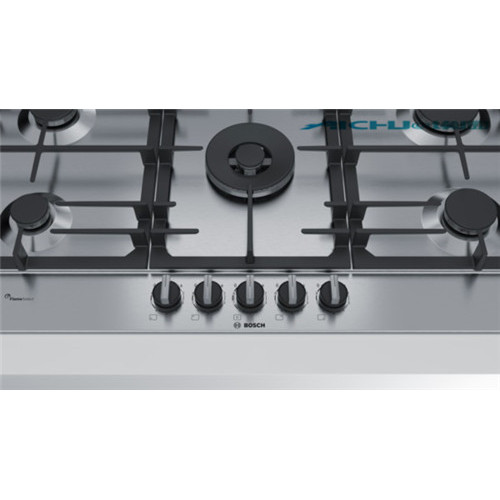 Bosch Lpg Stainless Steel Cast Iron GasStove