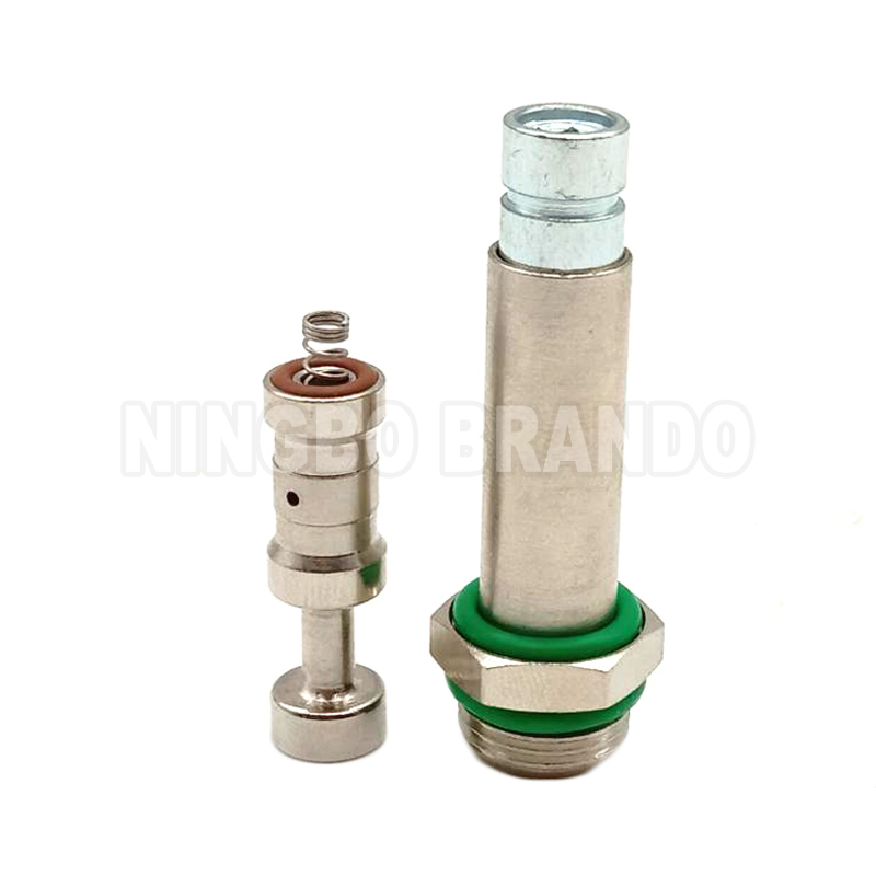 LPG CNG Injector Rail Solenoid Plunger