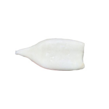 Processed squid Illex Squid Tube