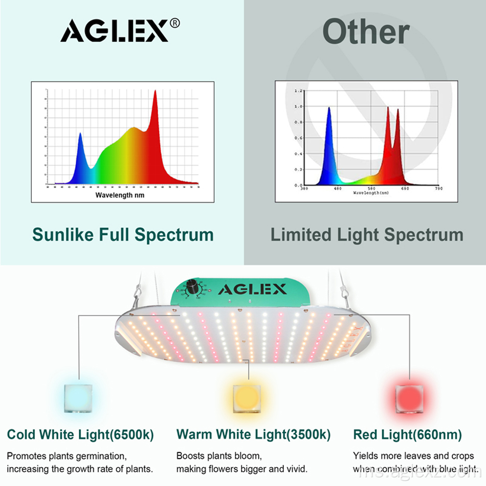 LED Grow Lights Spektrum Penuh Samsung Putih