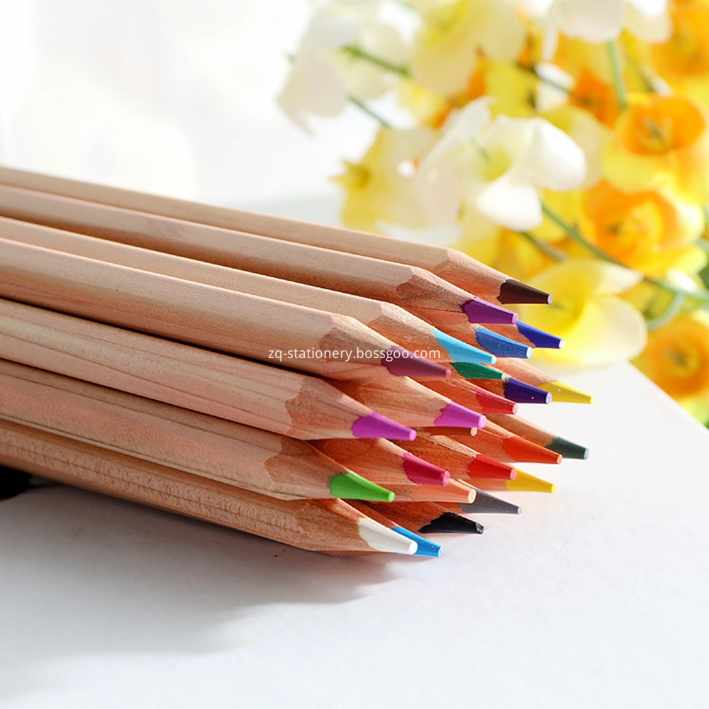 Promotional Custom Logo 24 Coloured Pencil