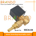 24VDC 220VAC Ayarlanabilir Akış Kömür Gazı Solenoid Valfı