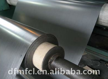 Flexible graphite roll, expanded graphit