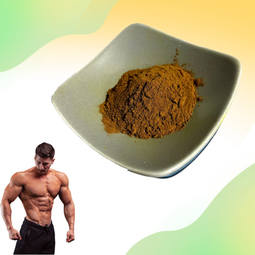 100% natürliches Bodybuilding Turkesteronpulver 2% -10%