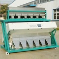 Maszyna do sortowania kolorów nasion słonecznika