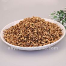 Barley Tea(damaicha)