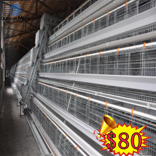 Automatic Chicken Layer Cage for Sale
