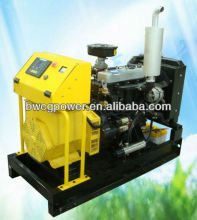 8kVA Diesel Generator Champion