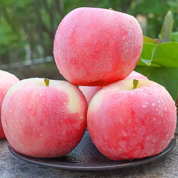 Delicious Fresh Fuji Apples