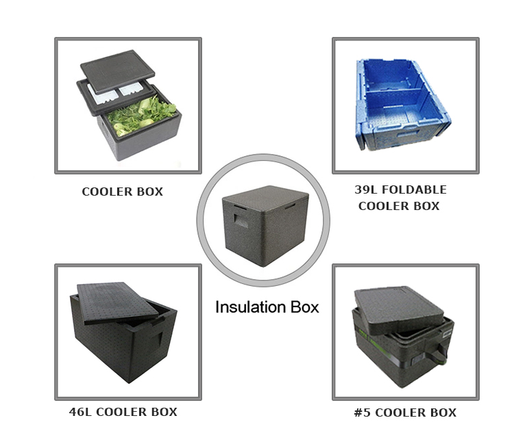 2022 Custom Wholesale Epp Styrofoam Chilly Bin Thermo Cooler Box For The Food Refrigeration Transport