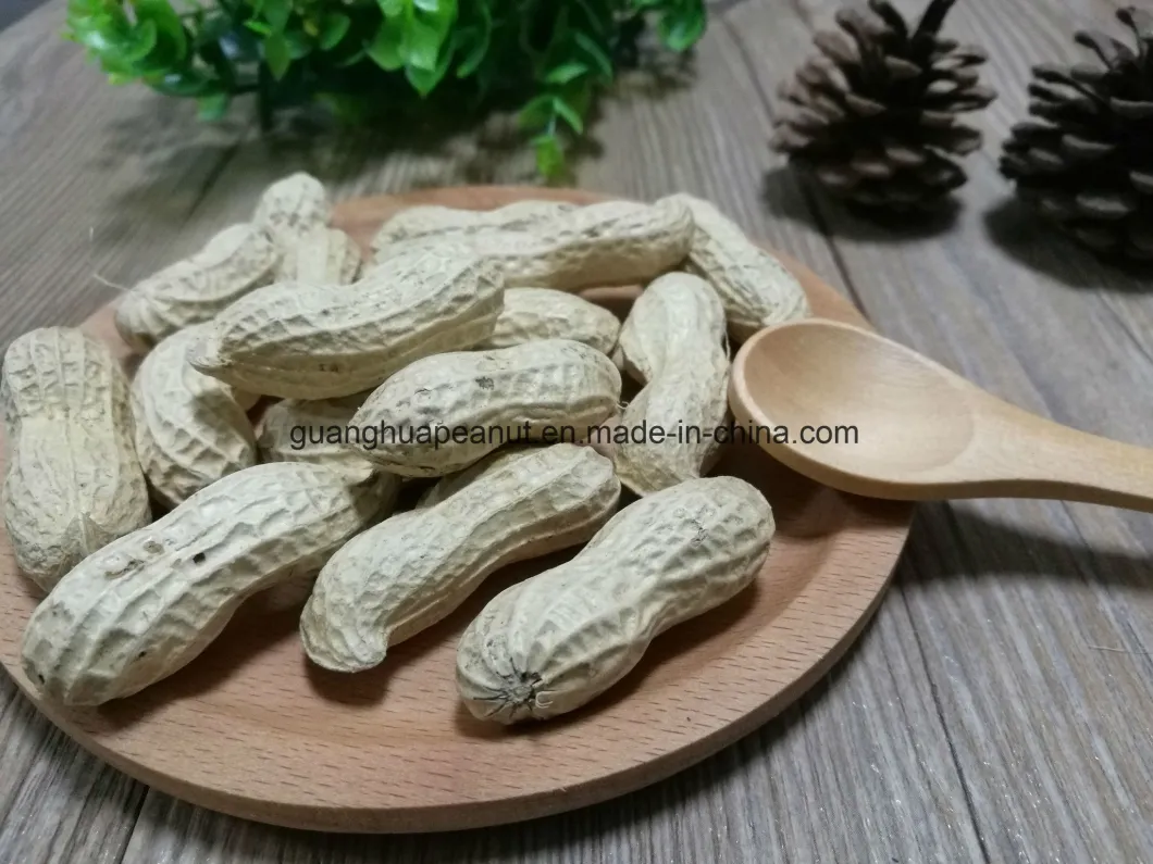 New Crop Raw Peanut in Shell Materials for Roasting