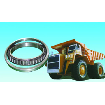 Heavy Truck Bearing 10079/710K