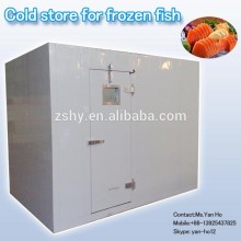 Cold store for frozen fish