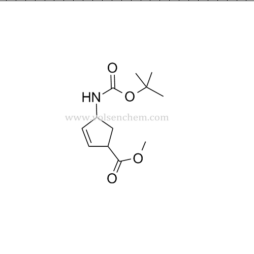 CAS 168683-02-1 Peramivir 중간체 4 - [[(1,1- 디메틸 헥실) 카르 보닐] 아미노] -2- 사이클로 펜텐 -1- 카르 복실 산 메틸 에스테르