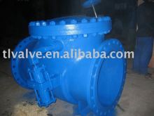 cast rion swing check valve