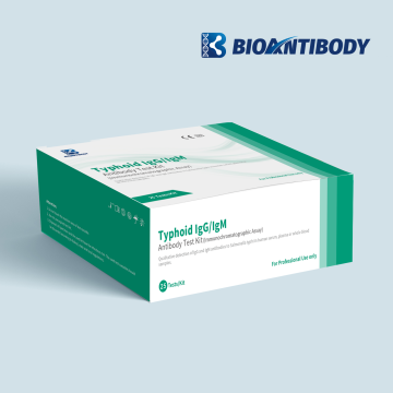 Typhoid IgM/IgM Antibody Test Kit