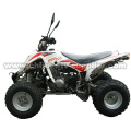 350cc น้ำมันระบายความร้อนด้วยคู่มือเกียร์โซ่ขับรถ ATV