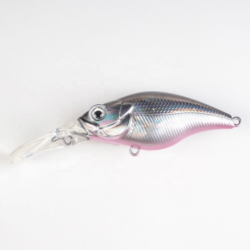 Hard Plastic Fishing Lure Molds for Freshwater Lures