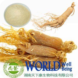 Ginseng Root Extract 80% Ginsenosides Powder