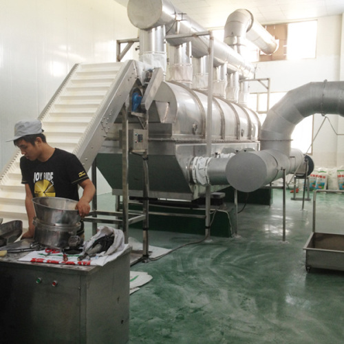 Stainless Steel Vfbd Vibration Fluid Bed Dryer for Salt Dehydration