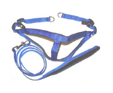 Pet Leash