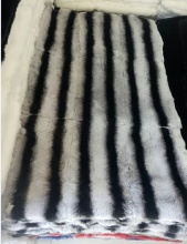 Rex Chinchilla Rex Rabbit Plate Dyed Chinchilla