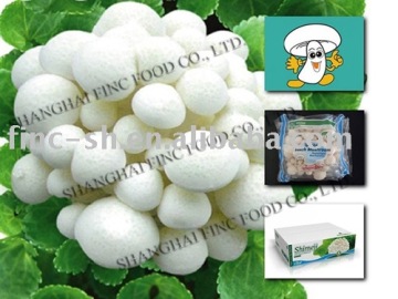 Fresh White Beech Mushroom