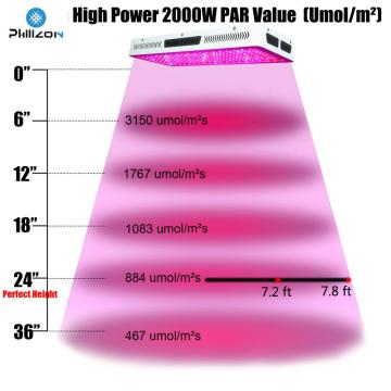 Hydroponics 300W LED Grow Light para plantas de invernadero