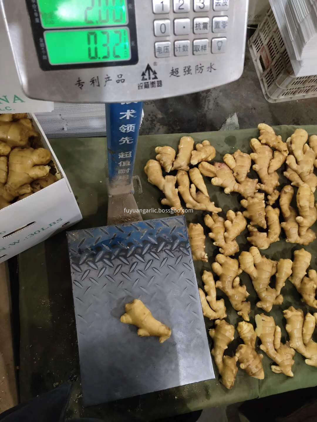 air dried ginger 