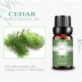 Cedar Essential Oil Organik Ekstrak Tanaman Harga curah