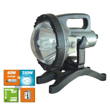 fluorescent working lamp