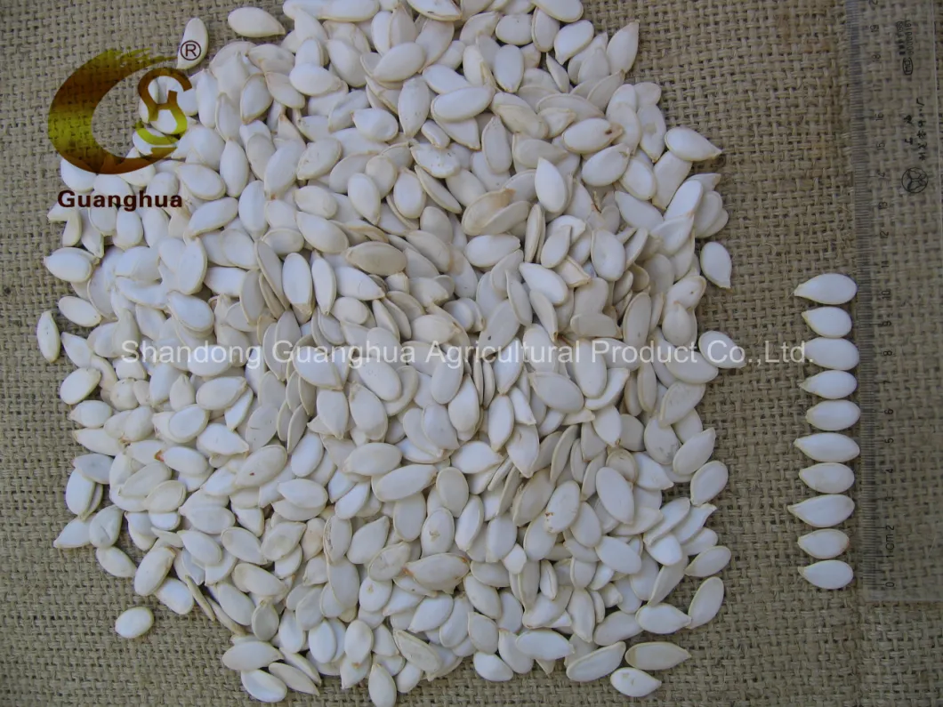 Snow White Pumpkin Seeds