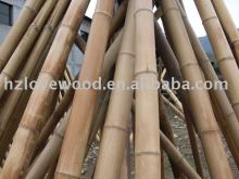 Bamboo Stake
