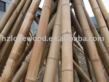 Bamboo Stake