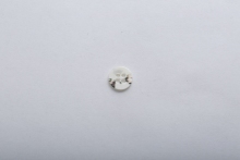 Optional shell buttons in multiple specifications