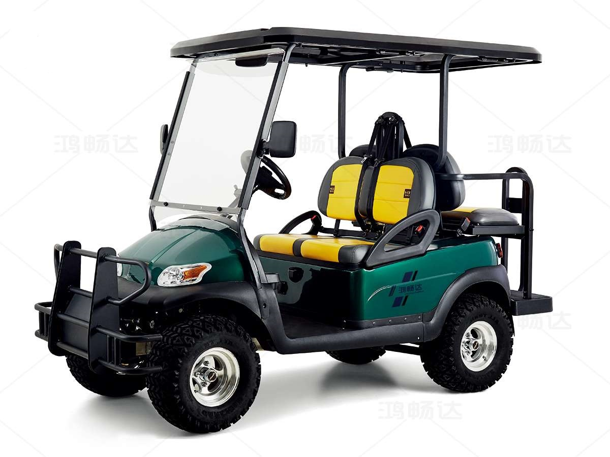Graceful style 4 seater golf buggy electric carts golf cart electric 3500watt AC motor Car