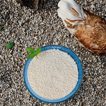 Dicalcium Phosphate (DCP) 18% granular